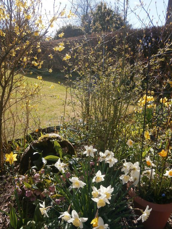 Roslin Cottage Callander Luaran gambar
